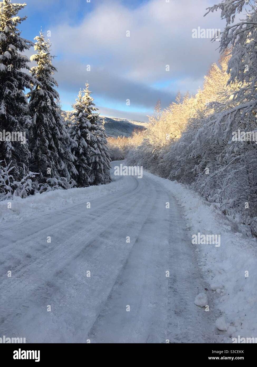 Swedish Winter Stock Photo