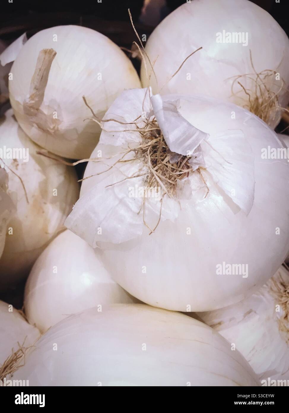 Close up of a basket of white onions in the produce aisle of a grocery store, USA - Smartphone Captured Stock Image