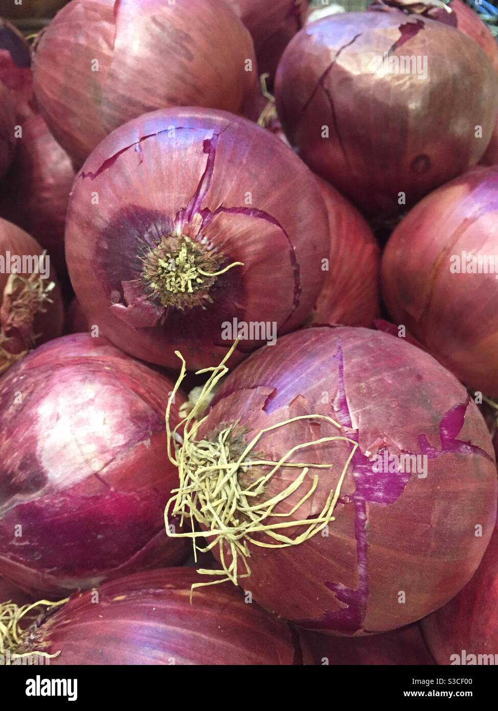 Close up red onions market smartphone stock photos and images - Alamy