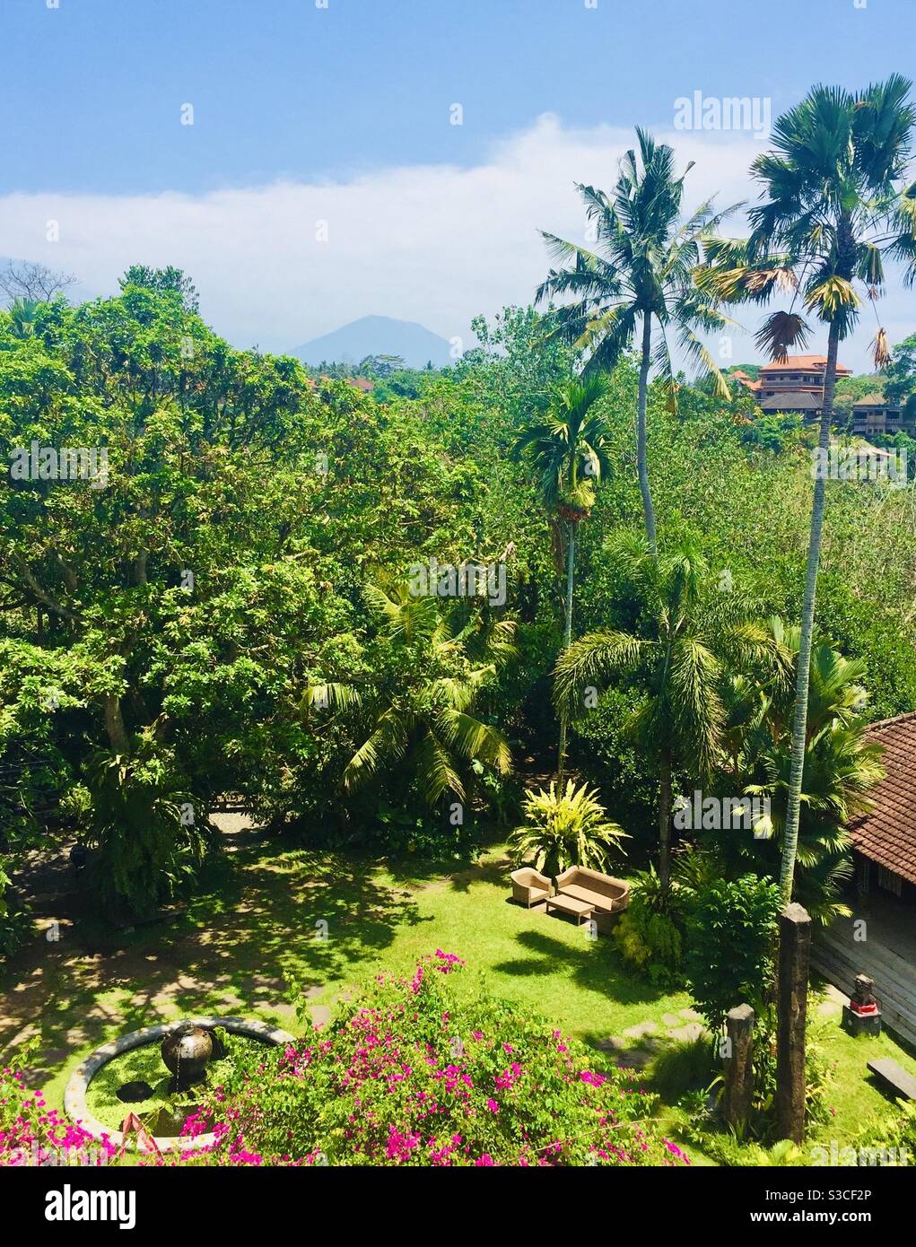 Garden view Ubud in Bali Indonesia - Smartphone Captured Stock Image