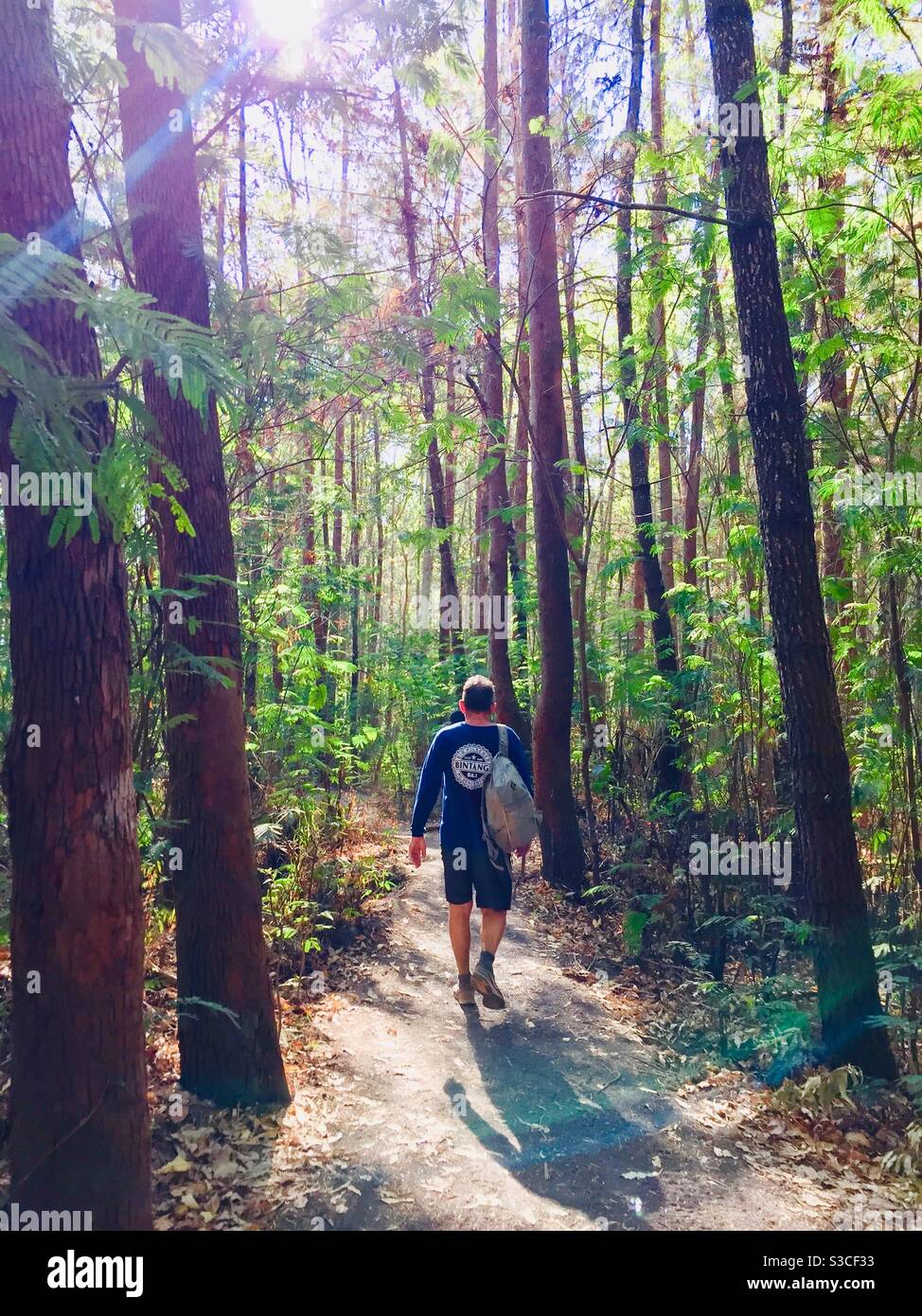 Hike through forest coming down from Mount Batur Bali Indonesia Stock Photo