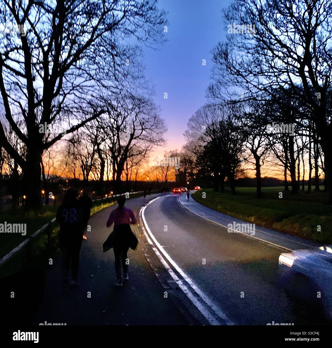 Joggers at sunset in Phoenix Park, Dublin, Ireland Stock Photo - Alamy