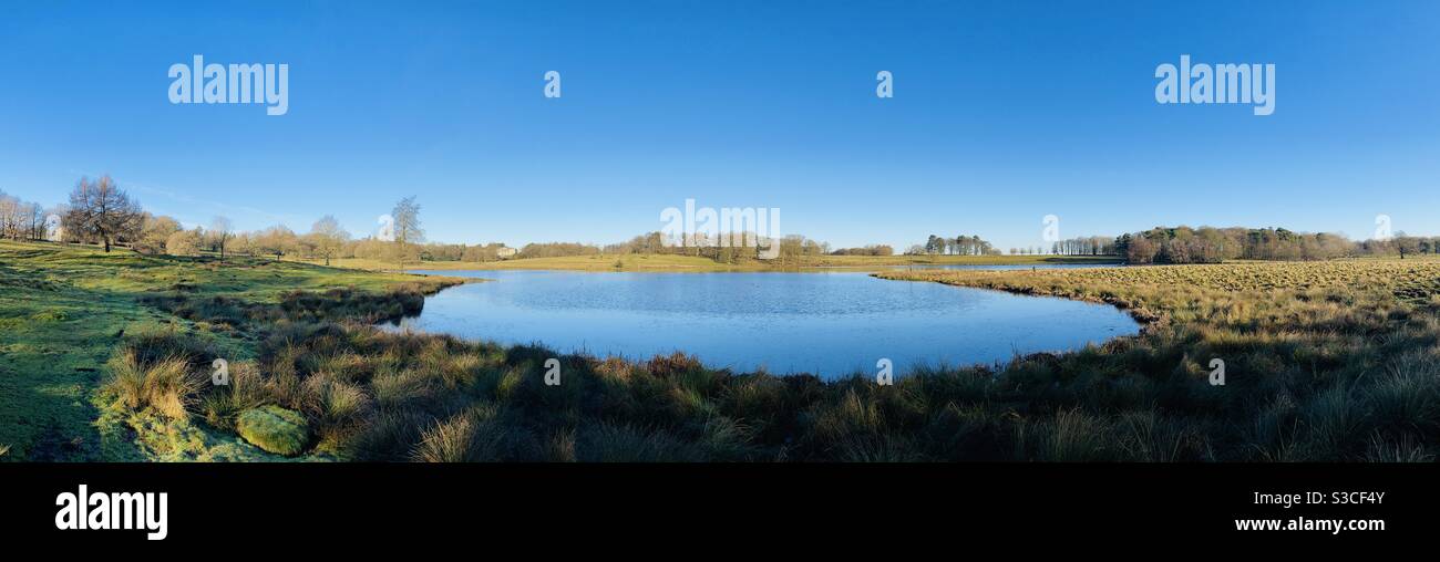 Lake in the countryside panoramic shot taken in Tatton Park Cheshire - Smartphone Captured Stock Image