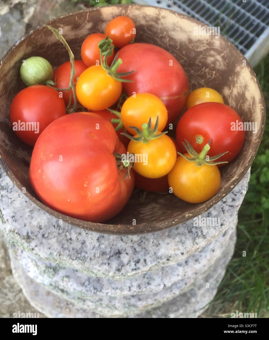 Tomaten in Kokosnussschale Stock Photo