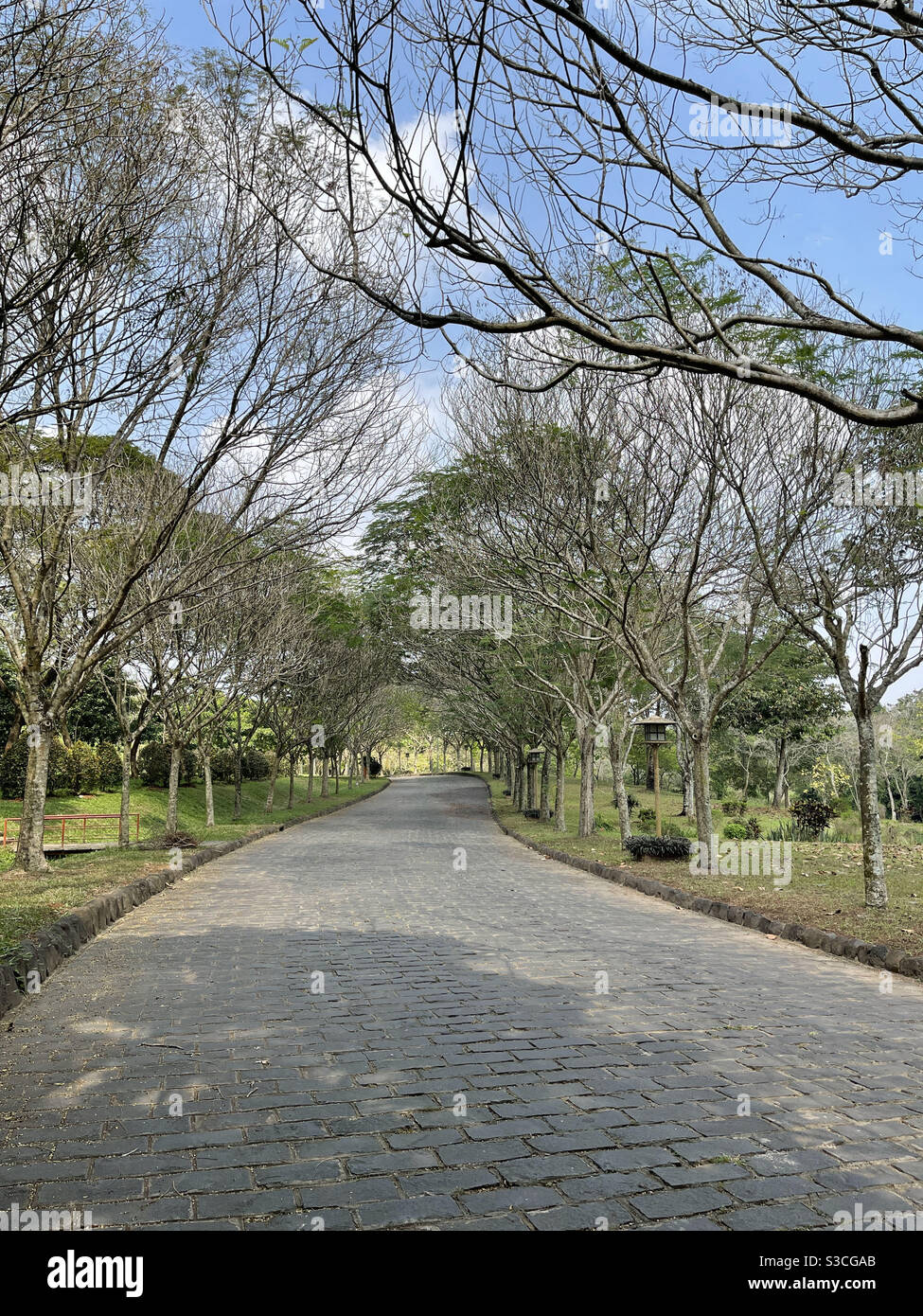 road autumn - Smartphone Captured Stock Image