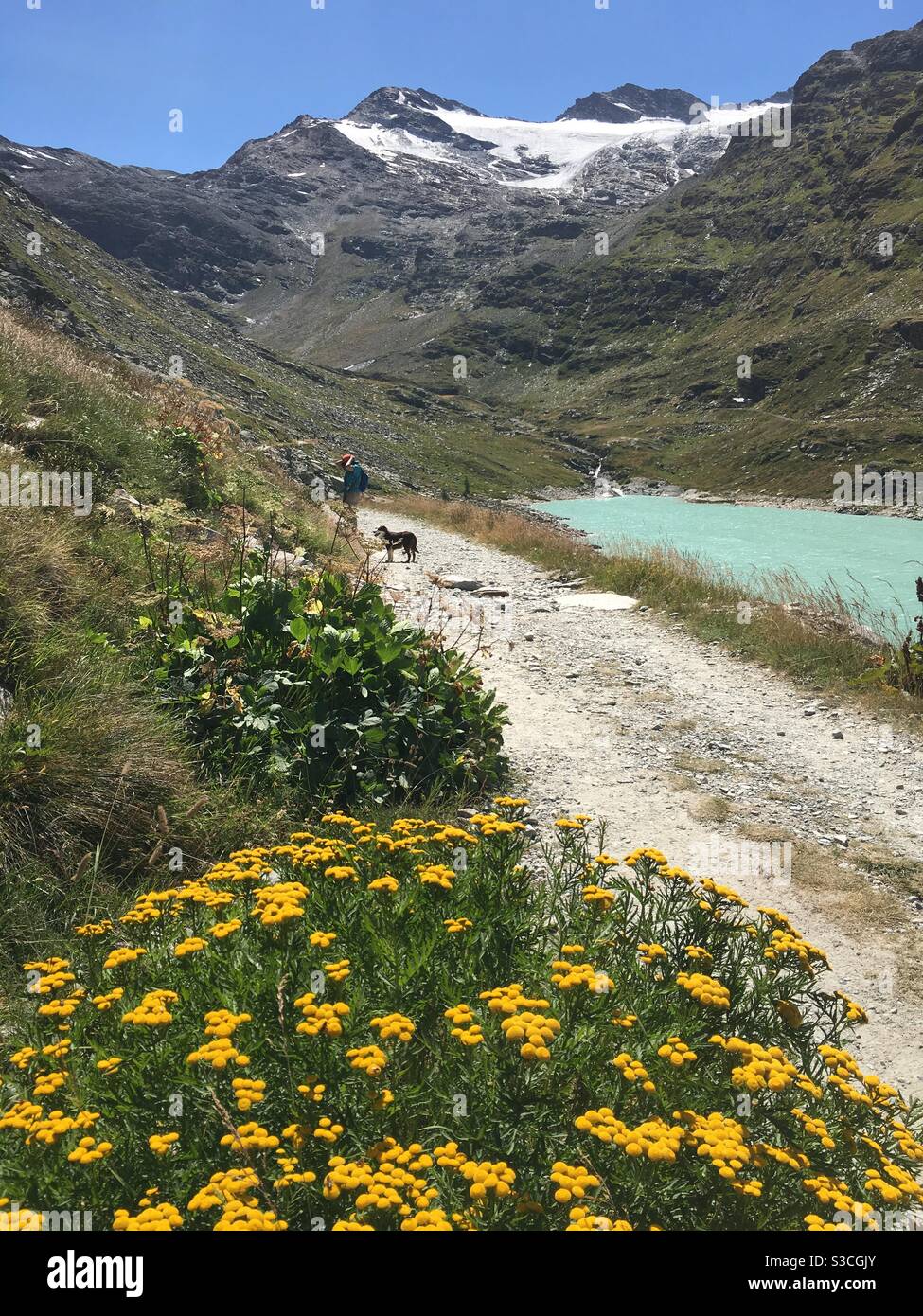 Hiking with dog around Mattmark reservoir, Saas Valley, Valais, Switzerland Stock Photo