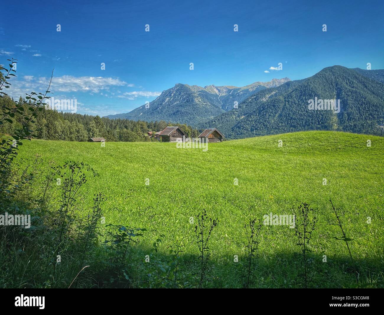 Green alpine meadow with mountain view in Bavarian Alps, Germany. - Smartphone Captured Stock Image
