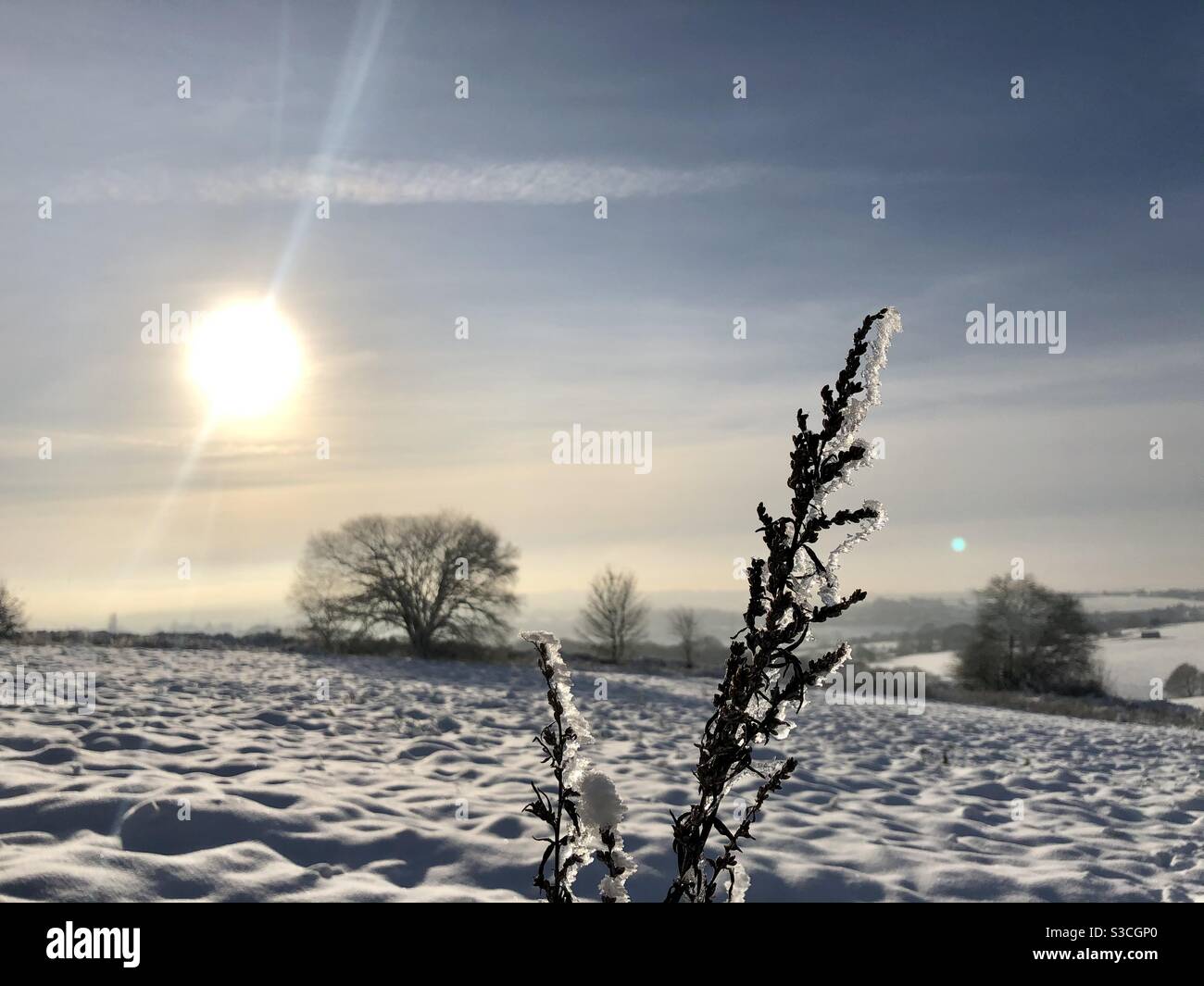 UK weather:Sunny afternoon in Morley, Leeds, West Yorkshire. 15th January 2021 With a Sunny day mixed with yesterday’s snow showing nature at its best. Credit:Victoria Gardner/Alamy Live News - Smartphone Captured Stock Image