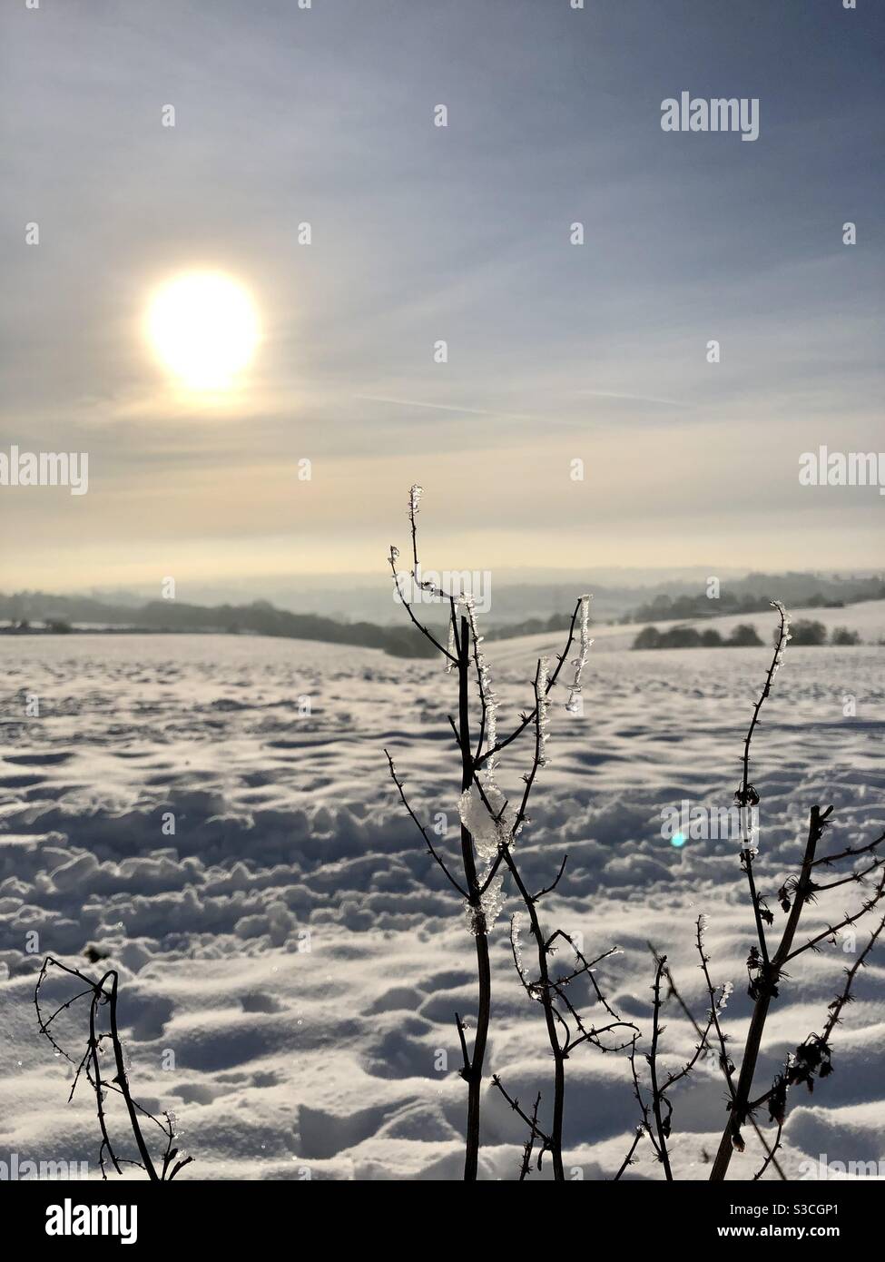 UK weather:Sunny afternoon in Morley, Leeds, West Yorkshire. 15th January 2021 With a Sunny day mixed with yesterday’s snow showing nature at its best. Credit:Victoria Gardner/Alamy Live News - Smartphone Captured Stock Image