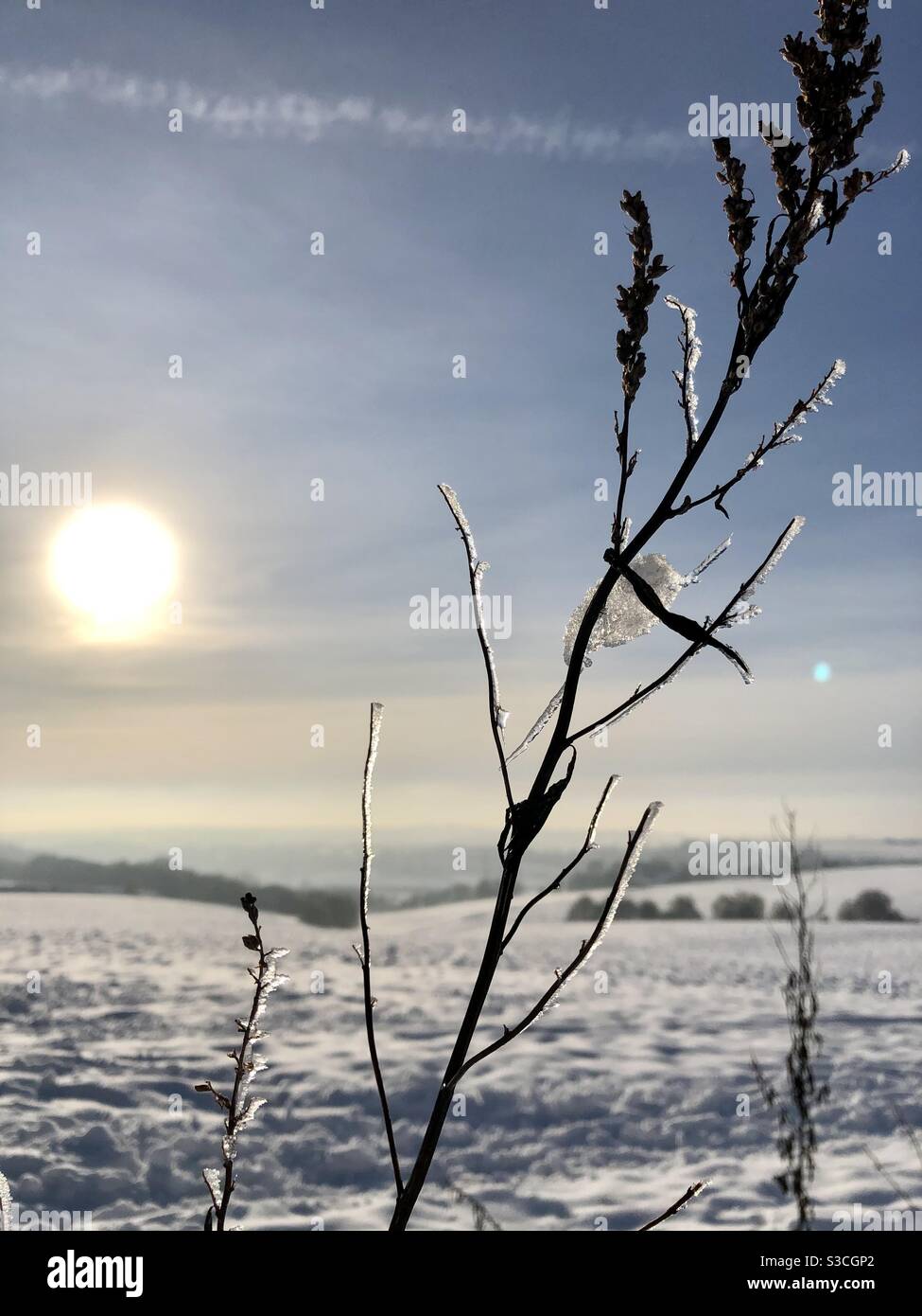 UK weather:Sunny afternoon in Morley, Leeds, West Yorkshire. 15th January 2021 With a Sunny day mixed with yesterday’s snow showing nature at its best. Credit:Victoria Gardner/Alamy Live News - Smartphone Captured Stock Image