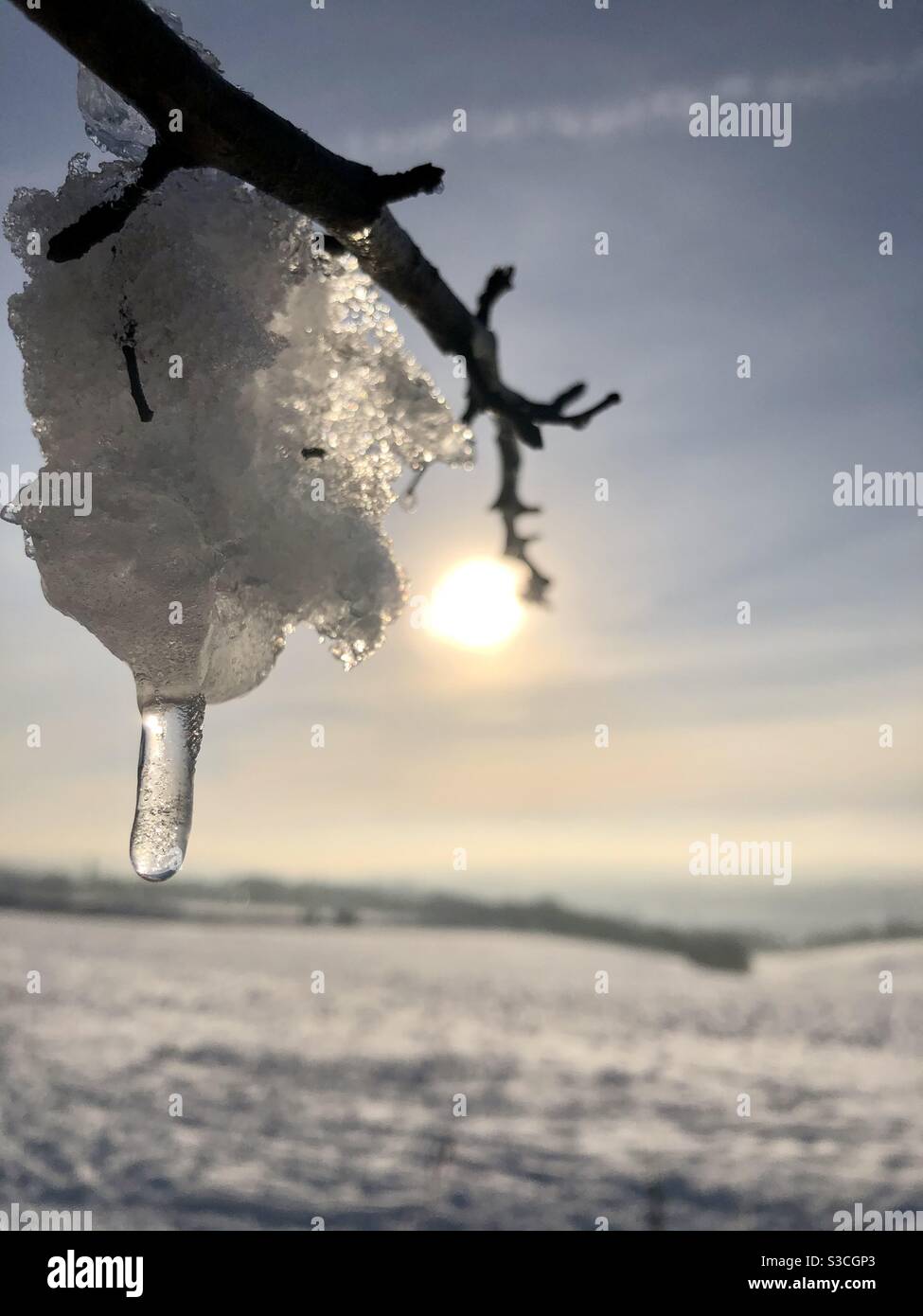 UK weather:Sunny afternoon in Morley, Leeds, West Yorkshire. 15th January 2021 With a Sunny day mixed with yesterday’s snow showing nature at its best. Credit:Victoria Gardner/Alamy Live News - Smartphone Captured Stock Image