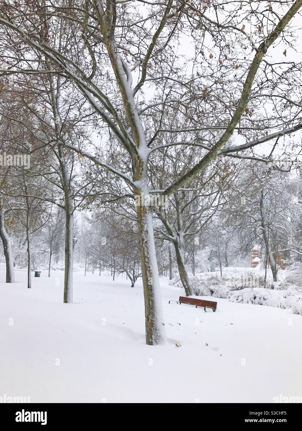 Snowfall. El Retiro Park, Madrid, Spain - Smartphone Captured Stock Image