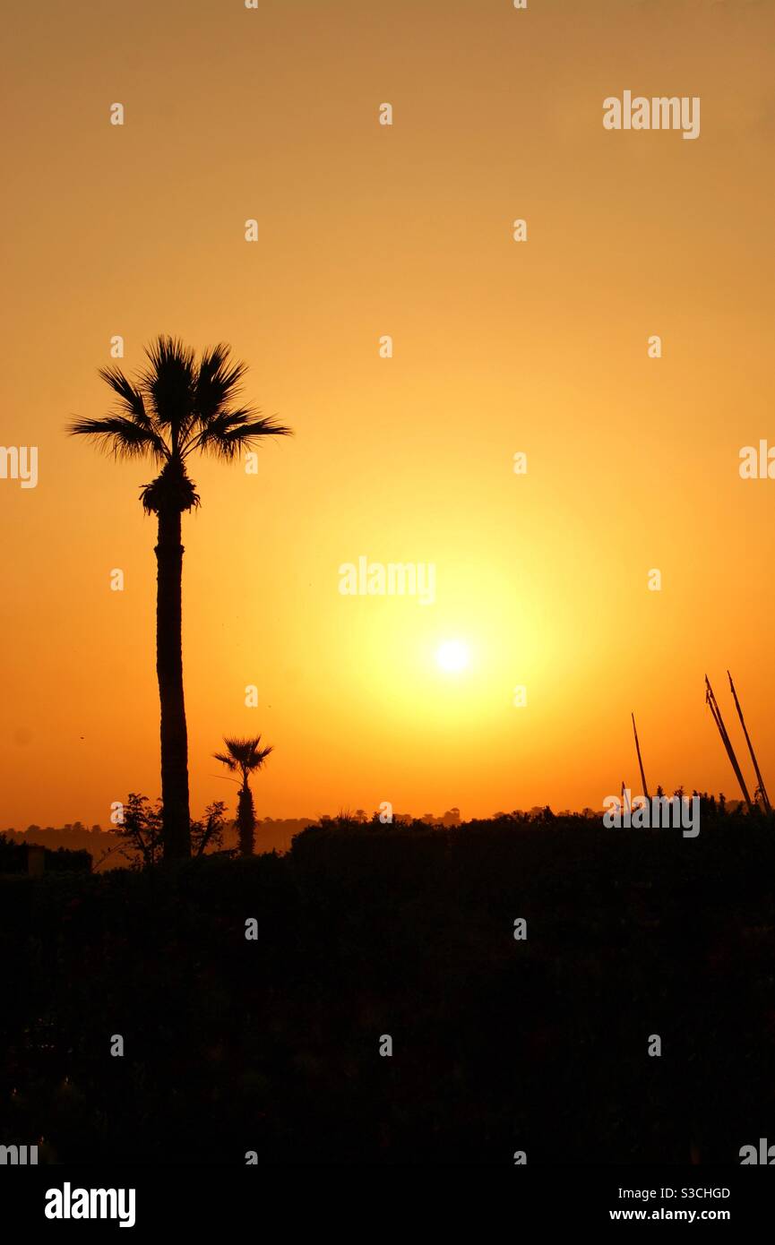 Beautiful yellow and orange exotic sunset across the river Nile in Luxor, Egypt with silhouette of palm trees in the evening glow Stock Photo