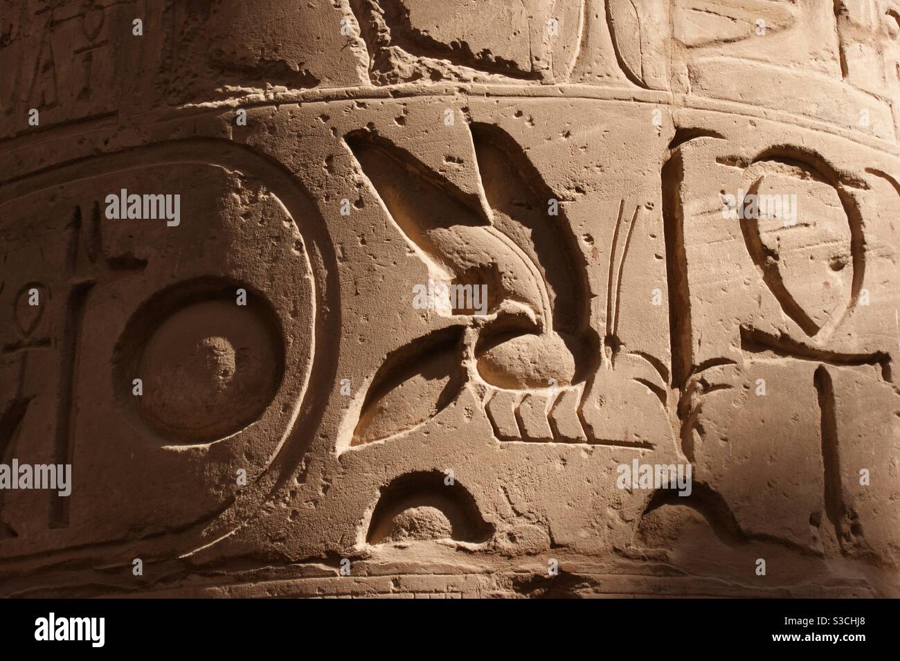 Deeply engraved ancient Egyptian hieroglyphics symbols carved into a