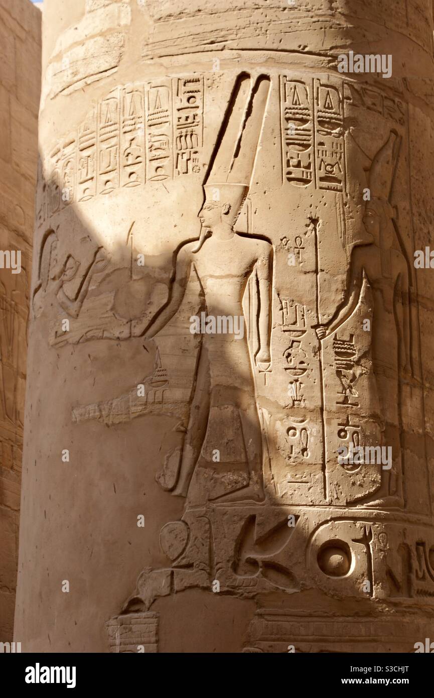 Ancient Egyptian hieroglyphics of pharaohs and other symbols of