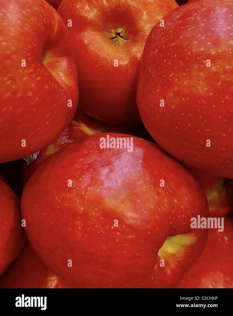 https://c8.alamy.com/comp/S3CHKP/basket-of-cosmic-crisp-apples-S3CHKP.jpg