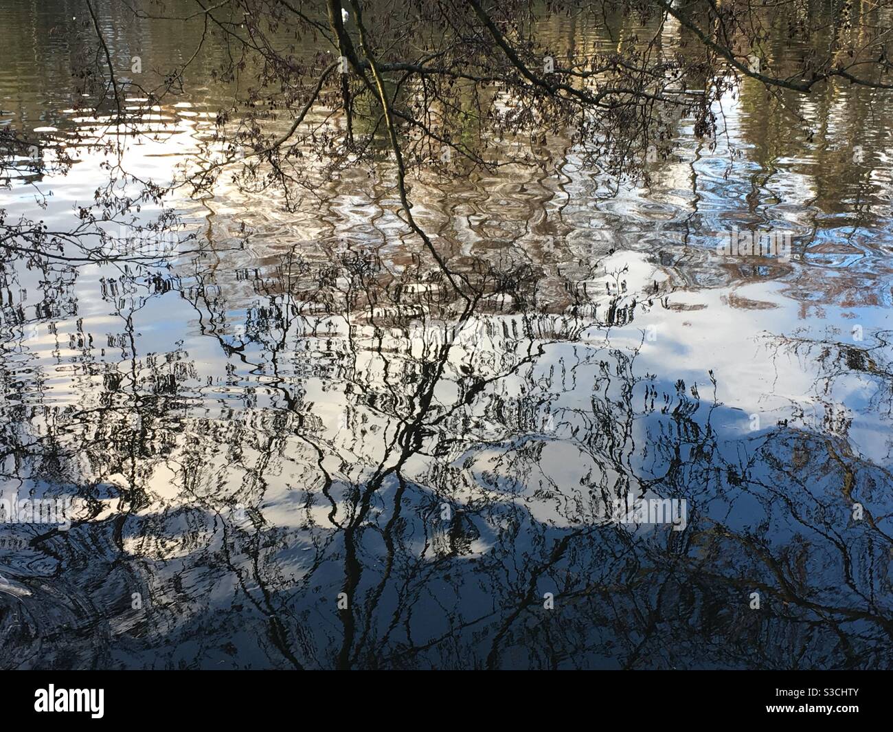 Reflections of trees in water - Smartphone Captured Stock Image