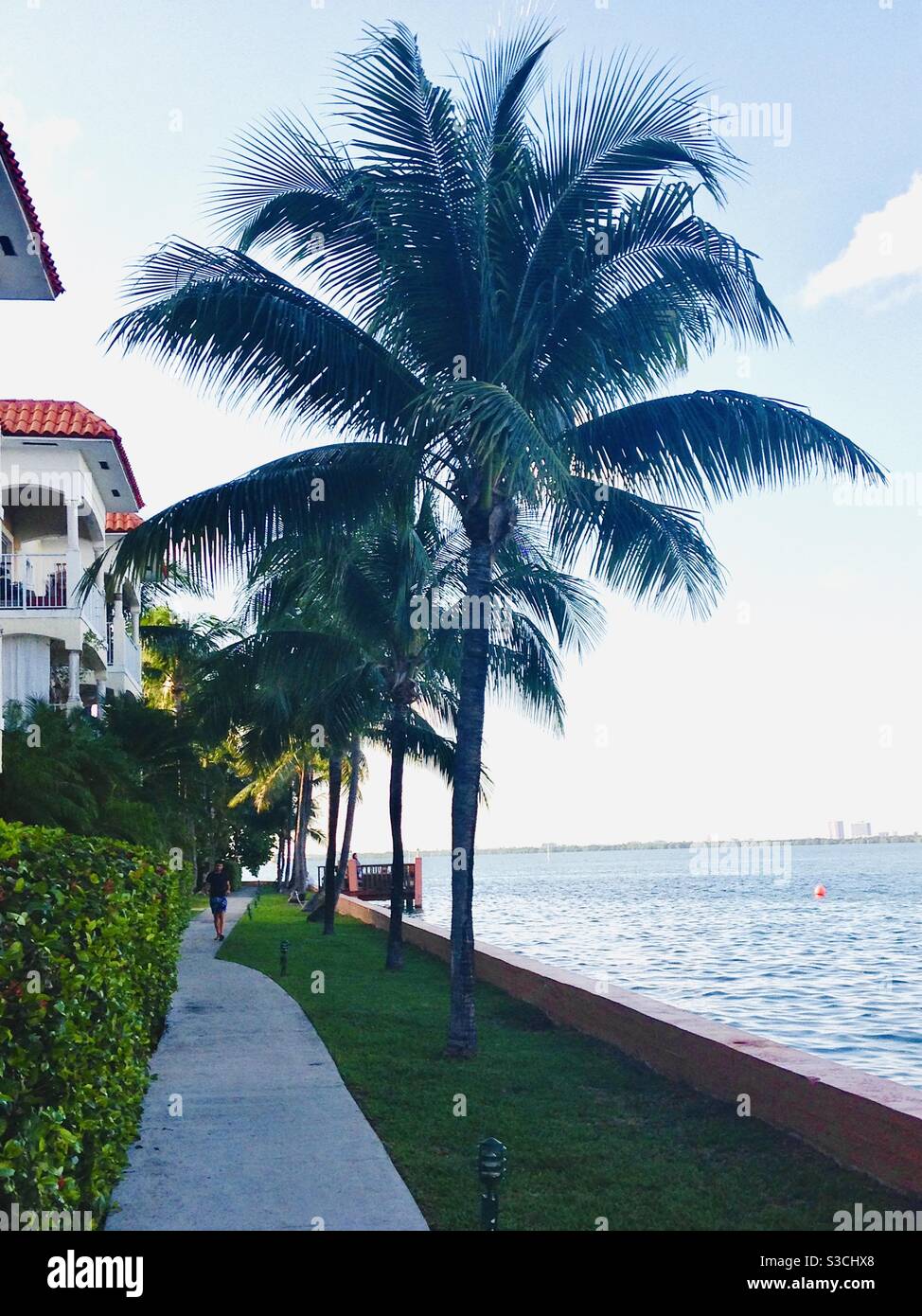 Iconic Miami beach front property view of the ocean with palm trees, green grass, & blue water, clear skies in South Beach, Miami, Florida, USA - Smartphone Captured Stock Image