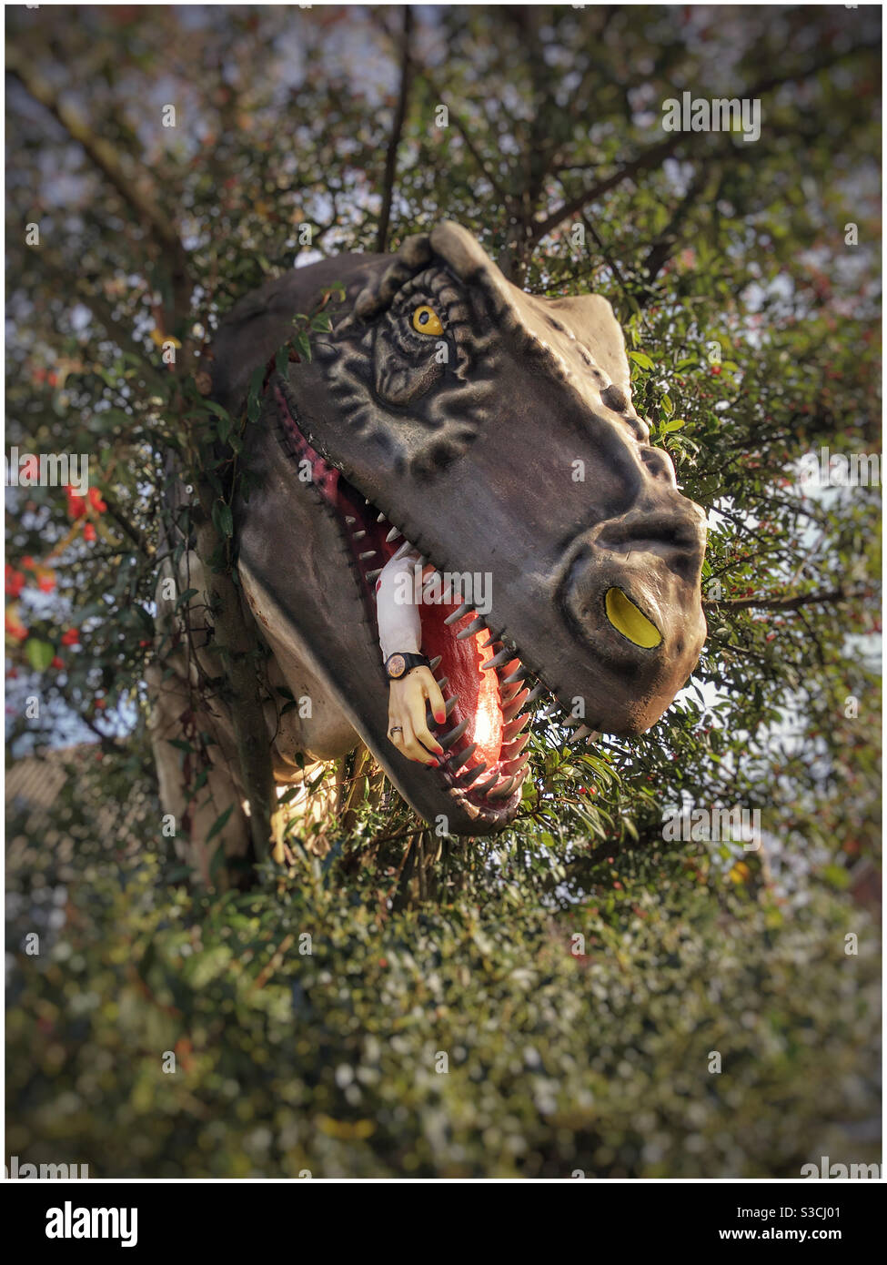 Dinosaur head in a tree, Hampstead, London. - Smartphone Captured Stock Image