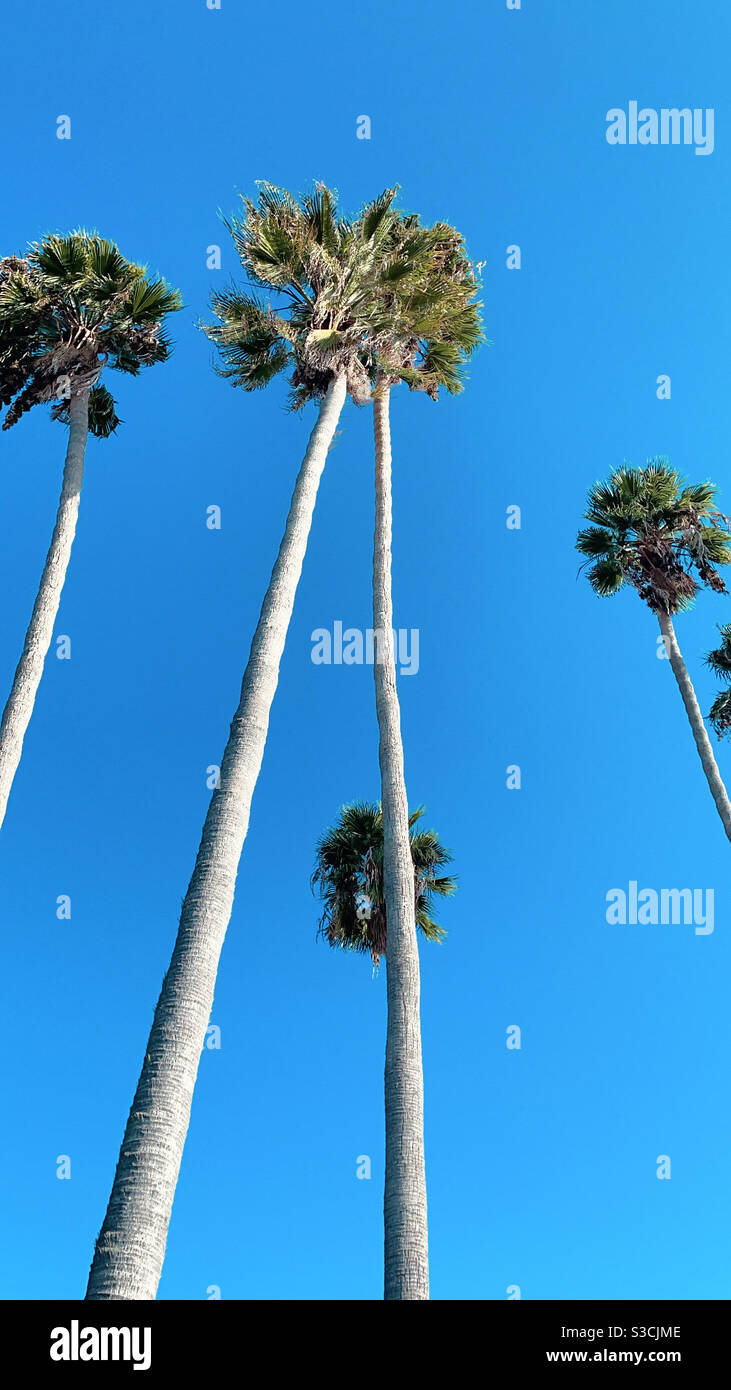 Clear blue skies Stock Photo