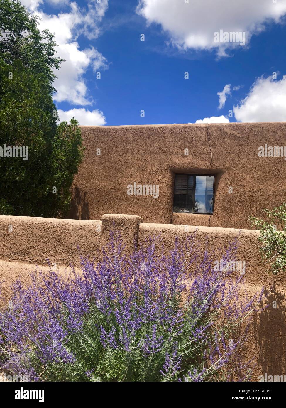 Colors seem more vivid in the right clear light of Santa Fe New Mexico USA as pictured here with an iconic Adobe structure and Mexican lavender against blue sky with fluffy clouds - Smartphone Captured Stock Image