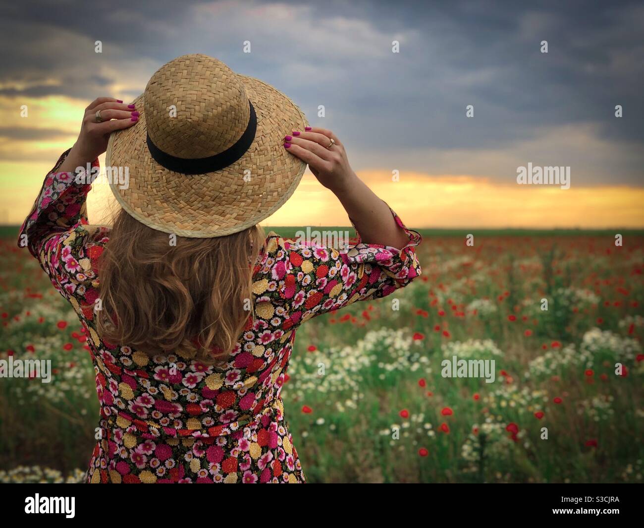 Rear view of woman wearing straw hat watching the sunset over a field - Smartphone Captured Stock Image