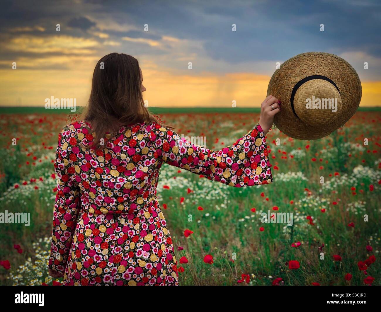 Rear view of woman holding straw hat watching the sunset over a field - Smartphone Captured Stock Image
