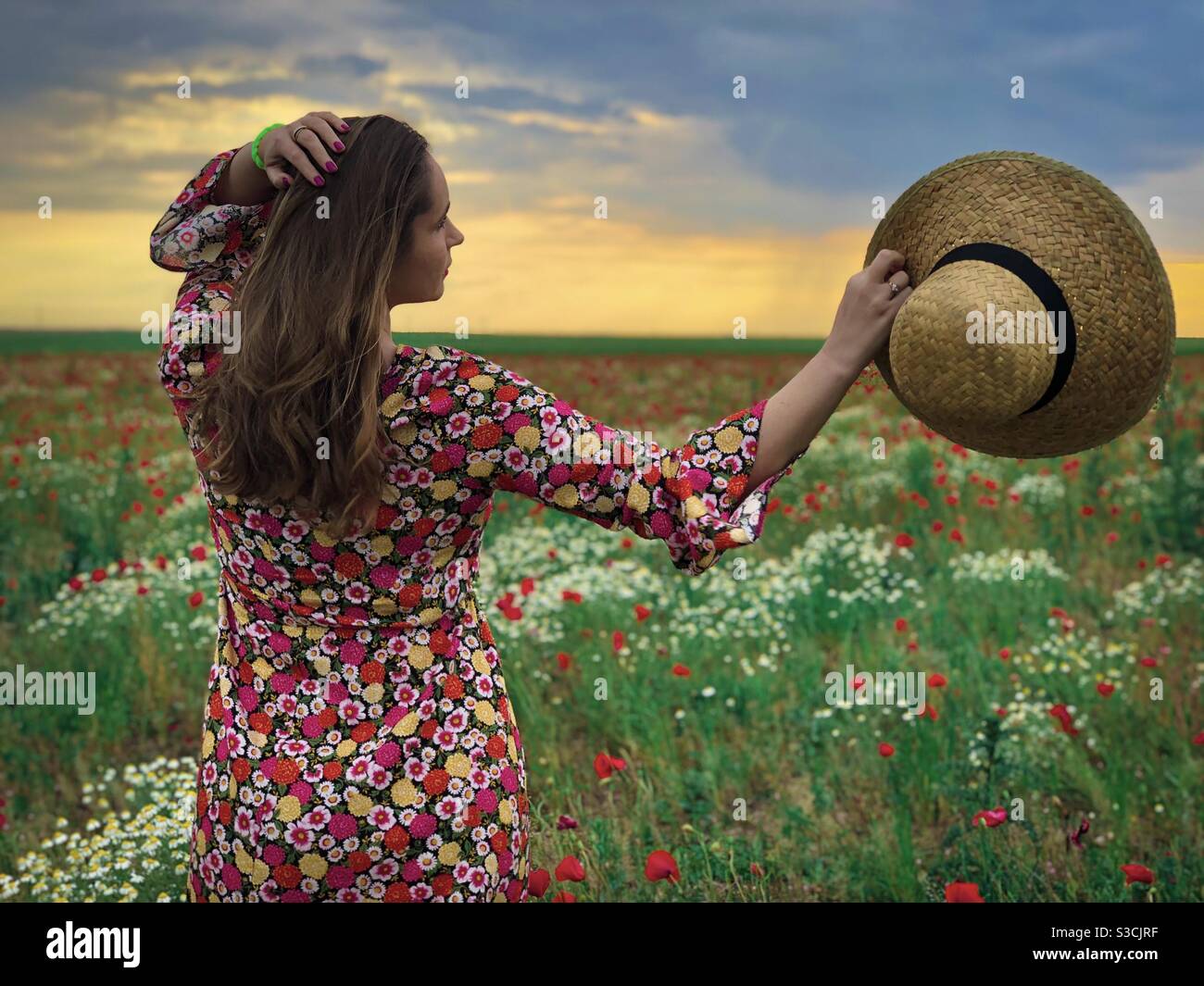 Rear view of woman holding straw hat watching the sunset over a field - Smartphone Captured Stock Image