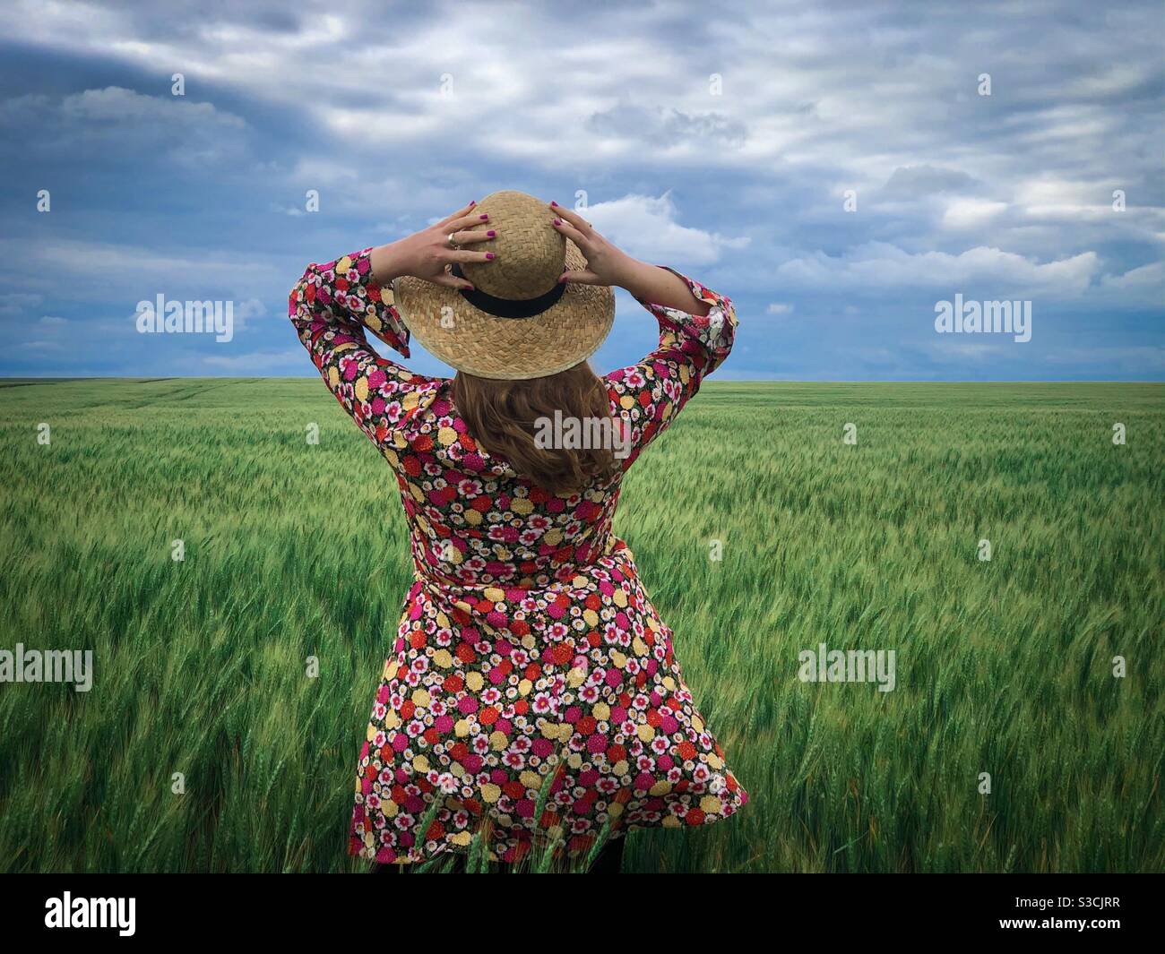 Woman wearing colorful dress and straw hat in a field of green wheat - Smartphone Captured Stock Image