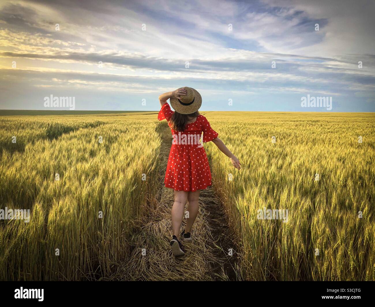 Woman in red dress in a field of golden wheat Stock Photo - Alamy