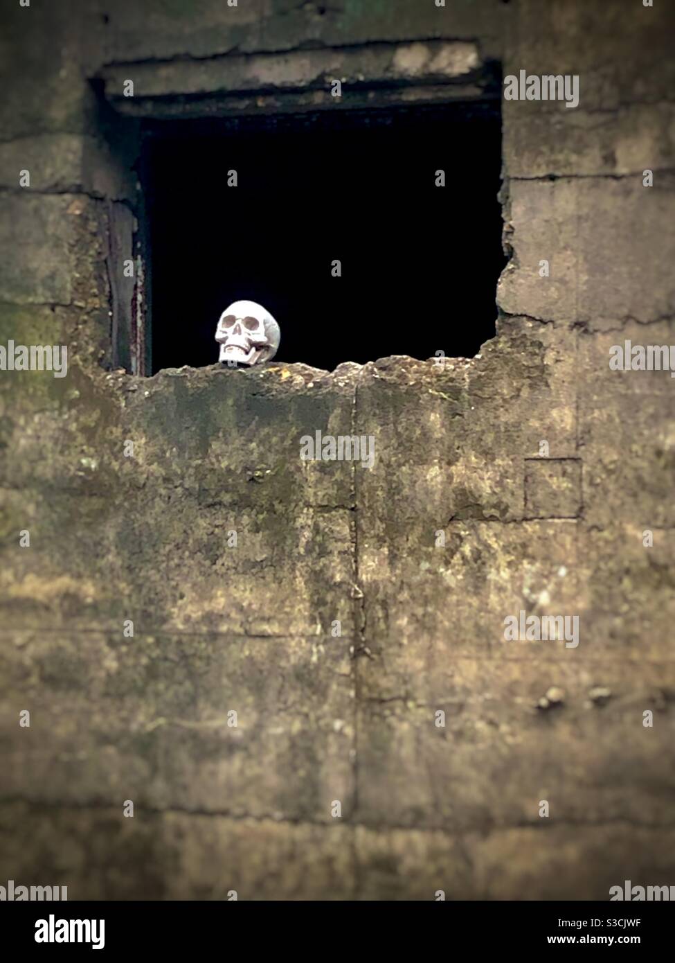 Human skull in window of concrete wall - Smartphone Captured Stock Image