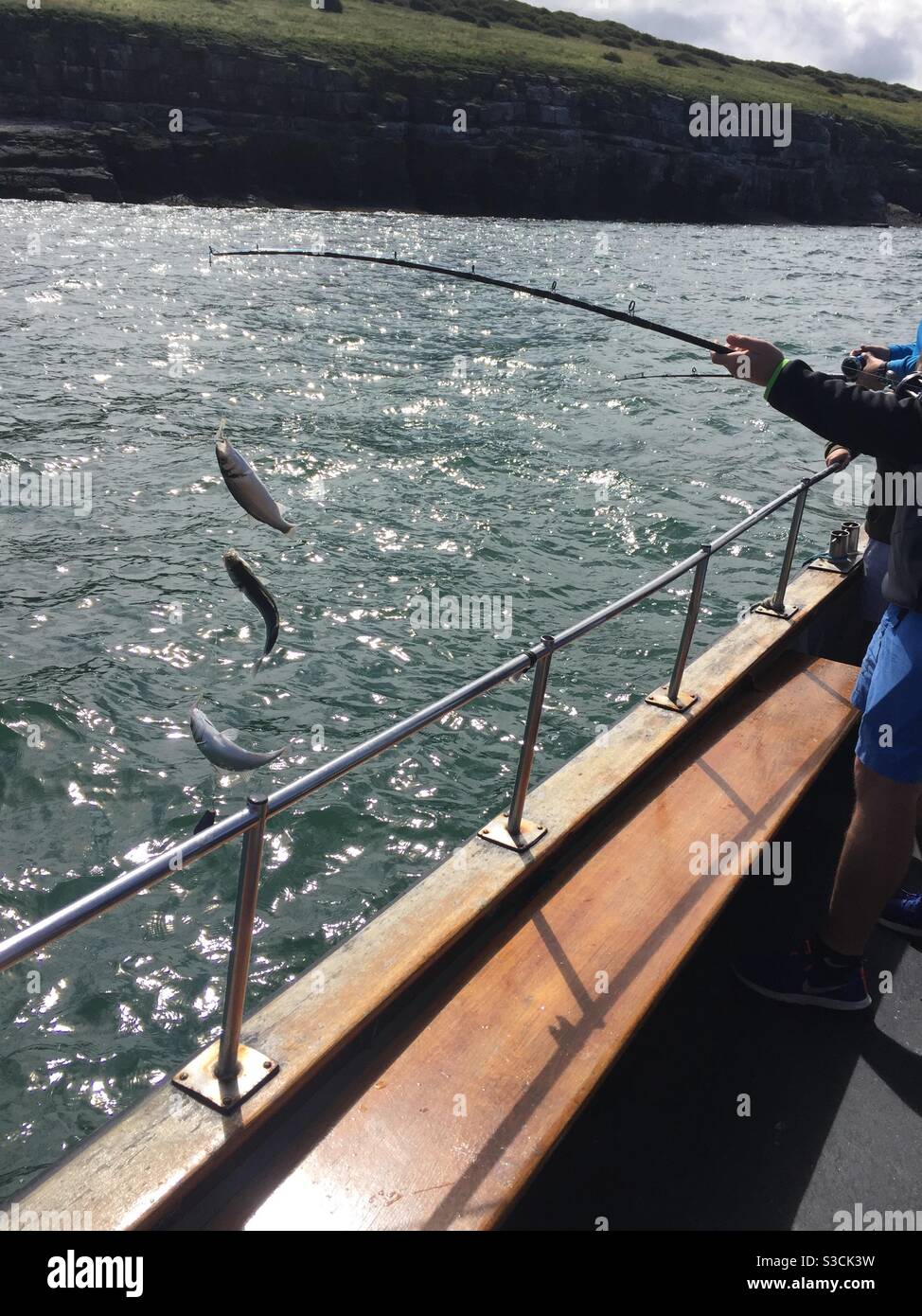 Fishing for mackerel Stock Photo Alamy