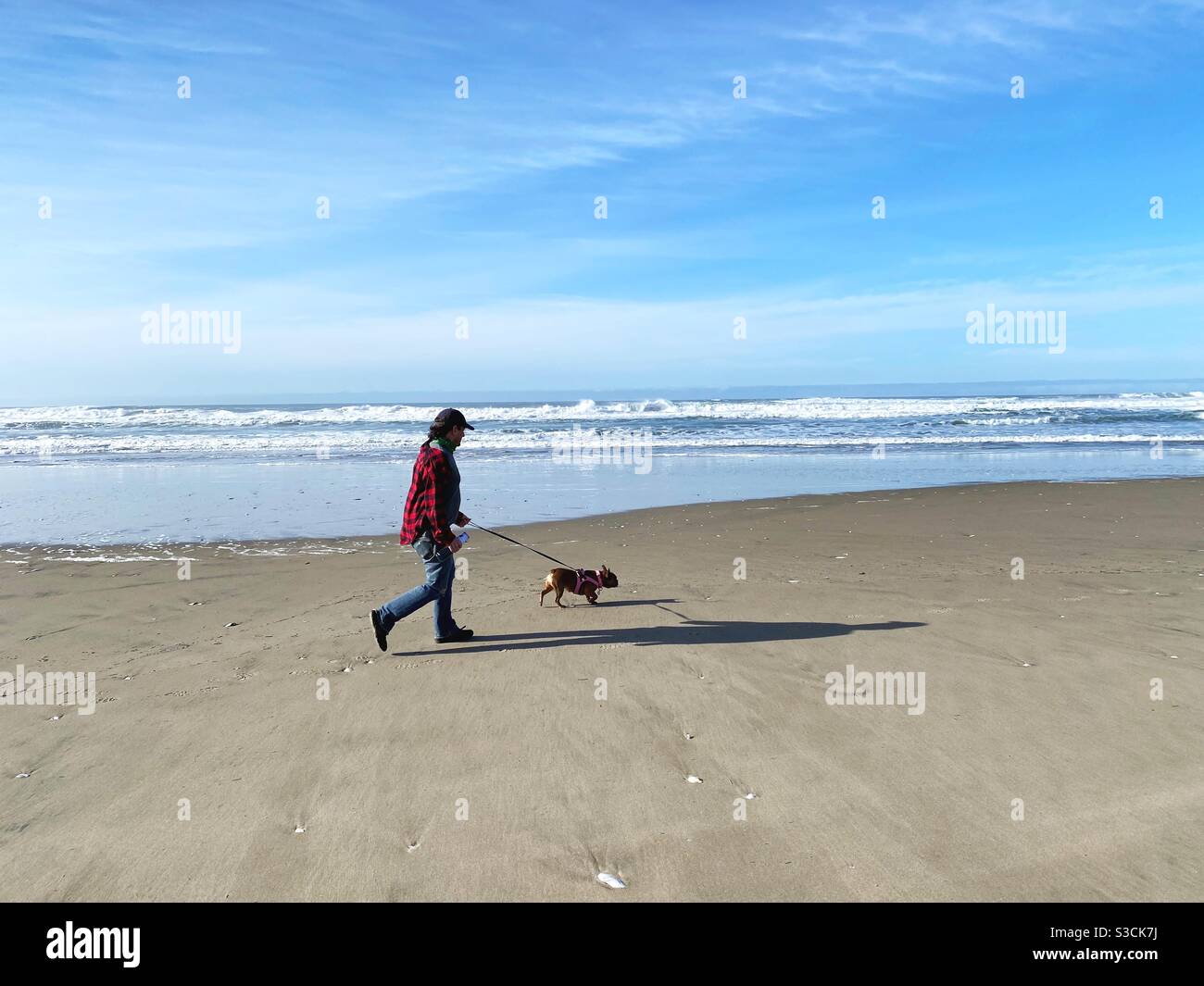 A man and small dog walking on an empty beach. Stock Photo