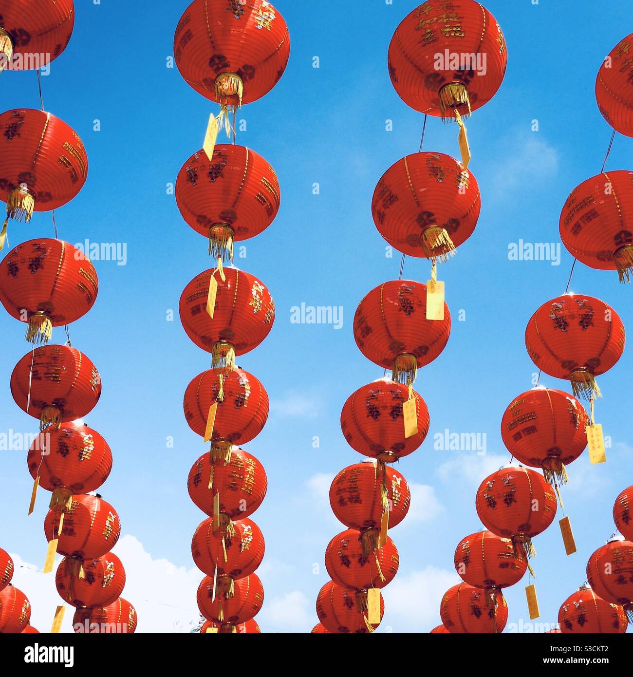 Blue chinese lantern hires stock photography and images Alamy