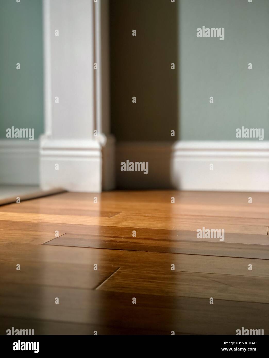 Closeup of hardwood floors white molding and green walls Stock Photo