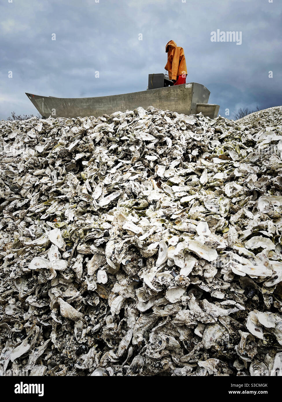 Oyster shells mound on Hood Canal in Washington state Stock Photo