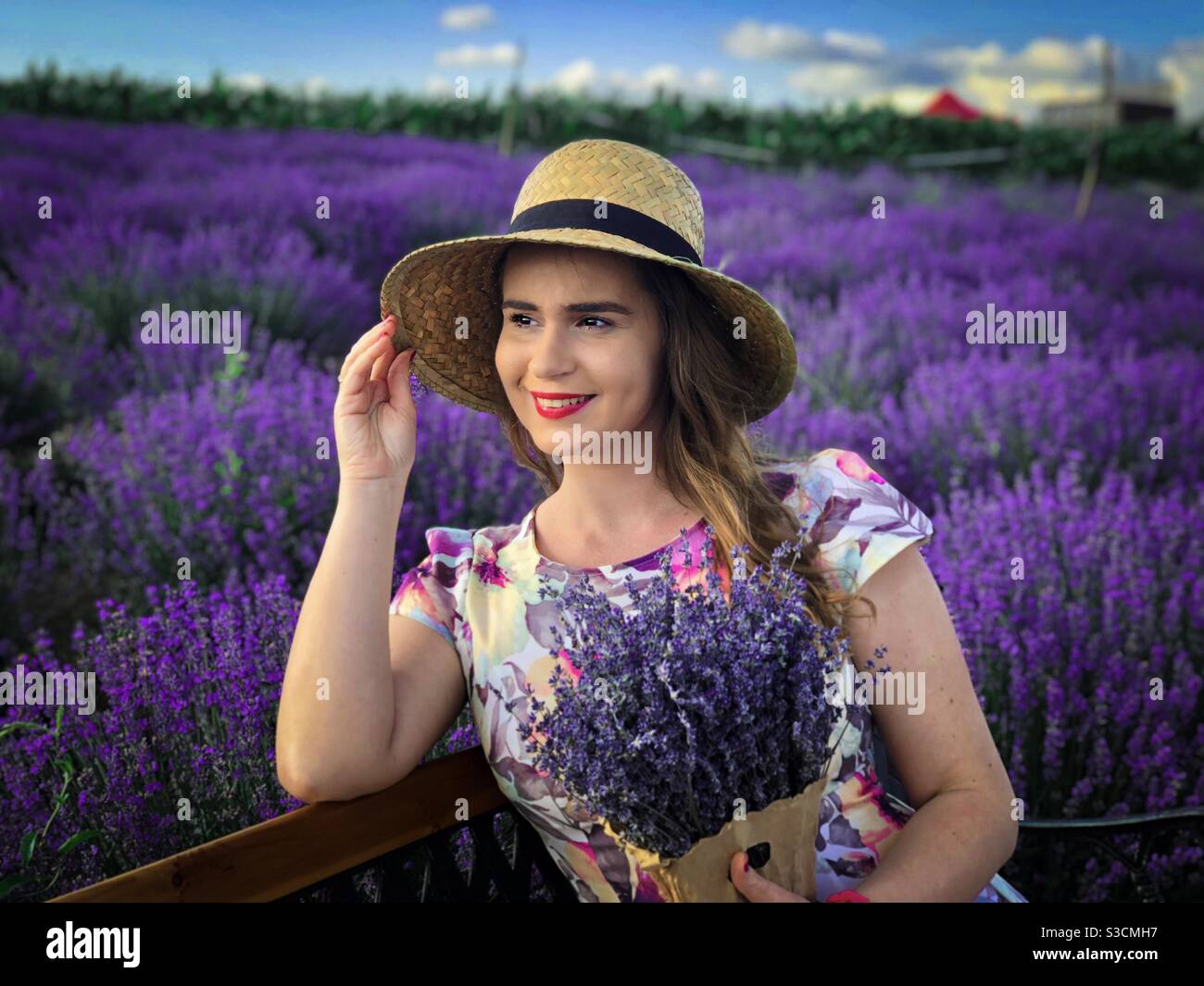Portrait of happy woman with straw hat holding a bouquet of lavender while sitting down on a bench in a field of lavender - Smartphone Captured Stock Image