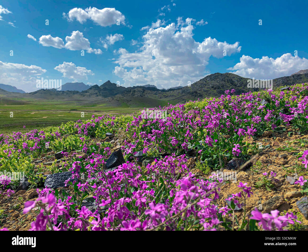 A beautiful green desert somewhere in Kandahar City of Afghanistan. Stock Photo