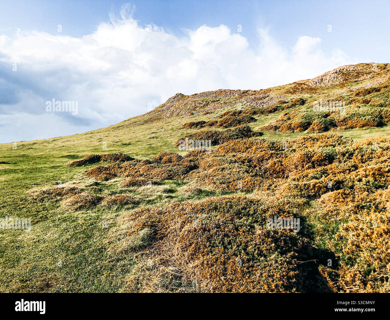 Grass landscaper over Carboniferous limestone, Gower Peninsula, Wales Stock Photo