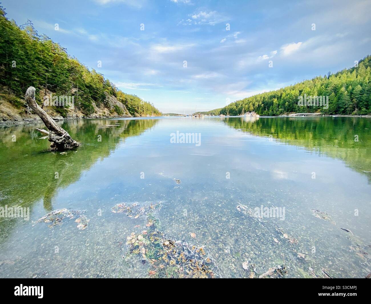 The harbor at Stuart Island State Park in Stuart Island, San Juan Islands, Washington State, USA - Smartphone Captured Stock Image