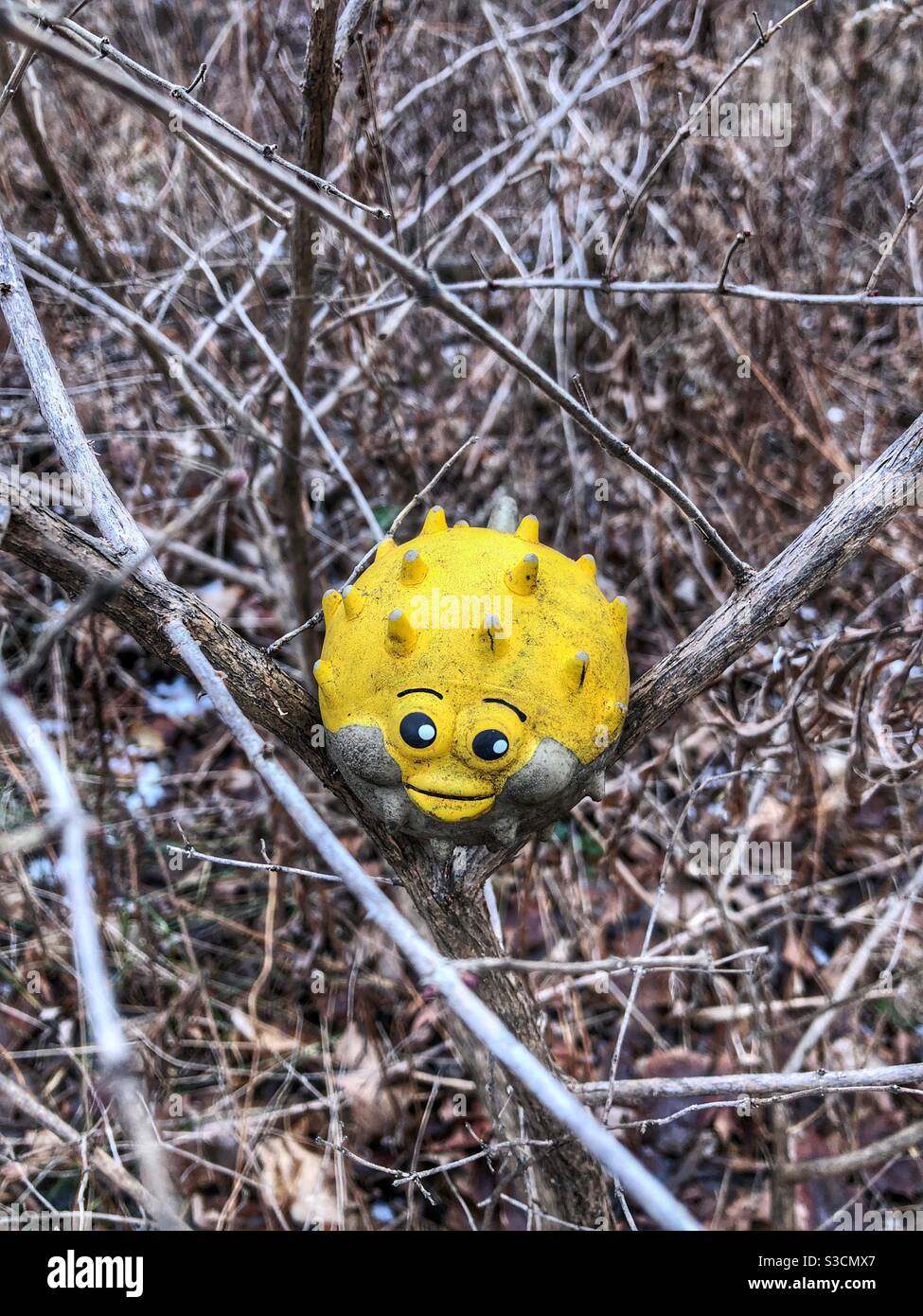 A whimsical yellow plastic bird hiding in some twigs. - Smartphone Captured Stock Image