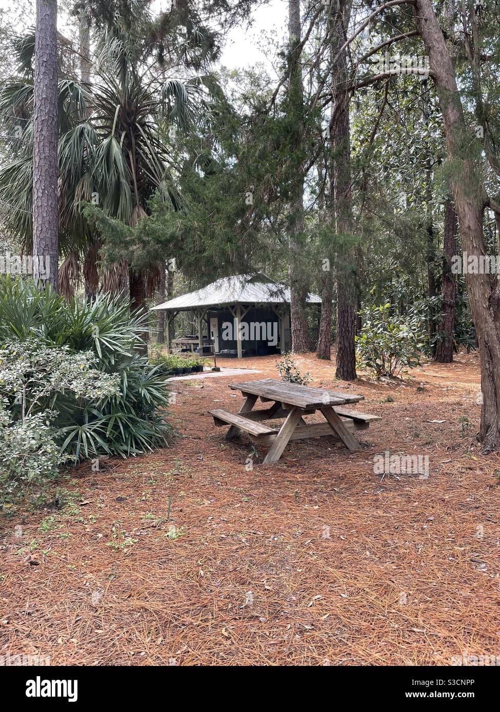 Picnic area and public restroom area at Eden Gardens State Park Florida - Smartphone Captured Stock Image