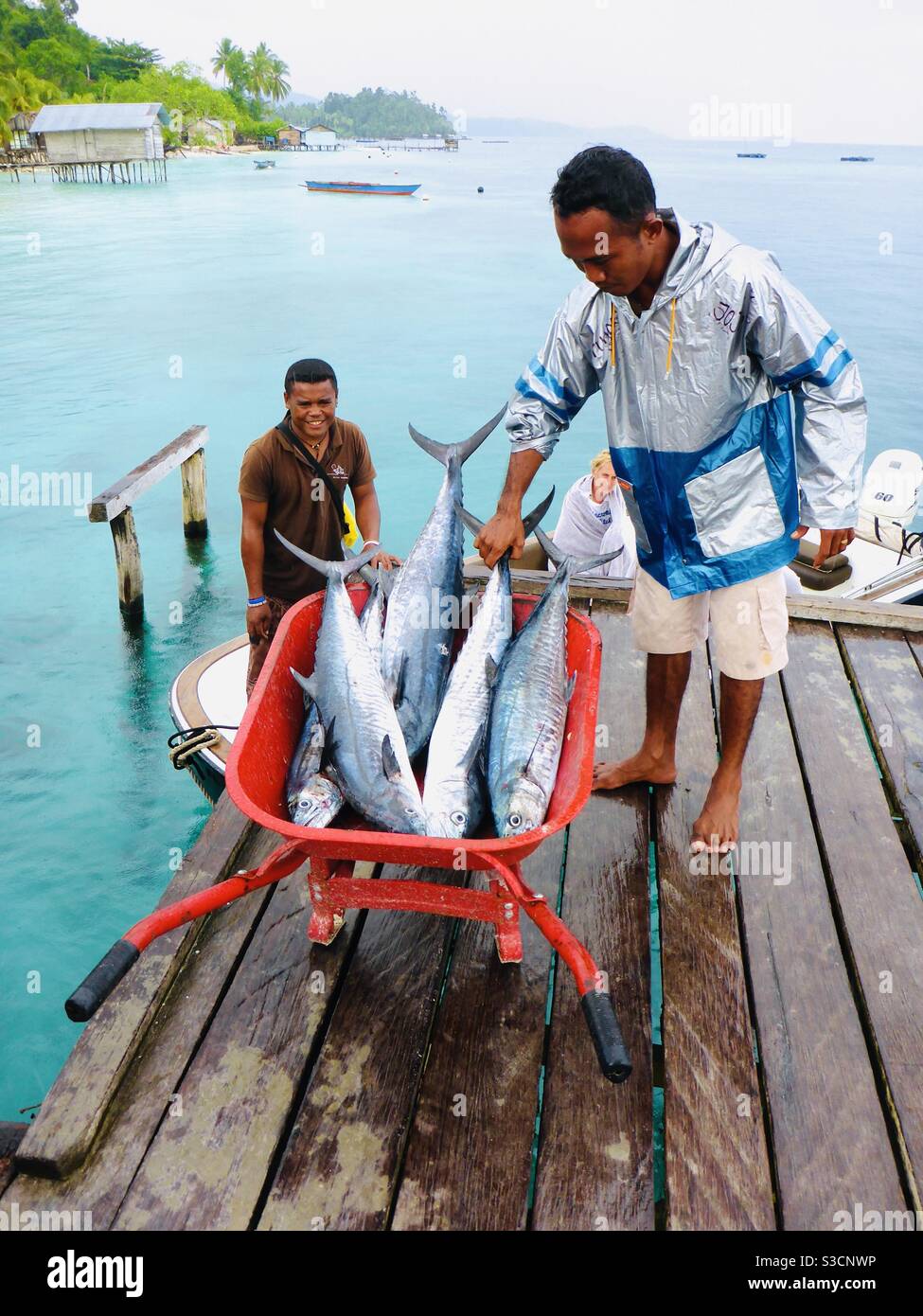 Fisherman’s catch in a wheelbarrow Raja Ampat Indonesia - Smartphone Captured Stock Image