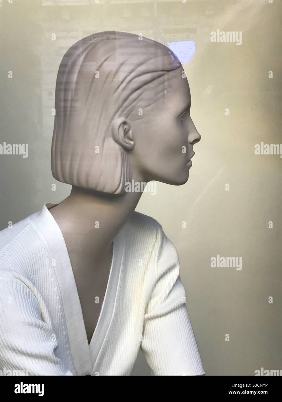 Mannequin in a shop window - Smartphone Captured Stock Image