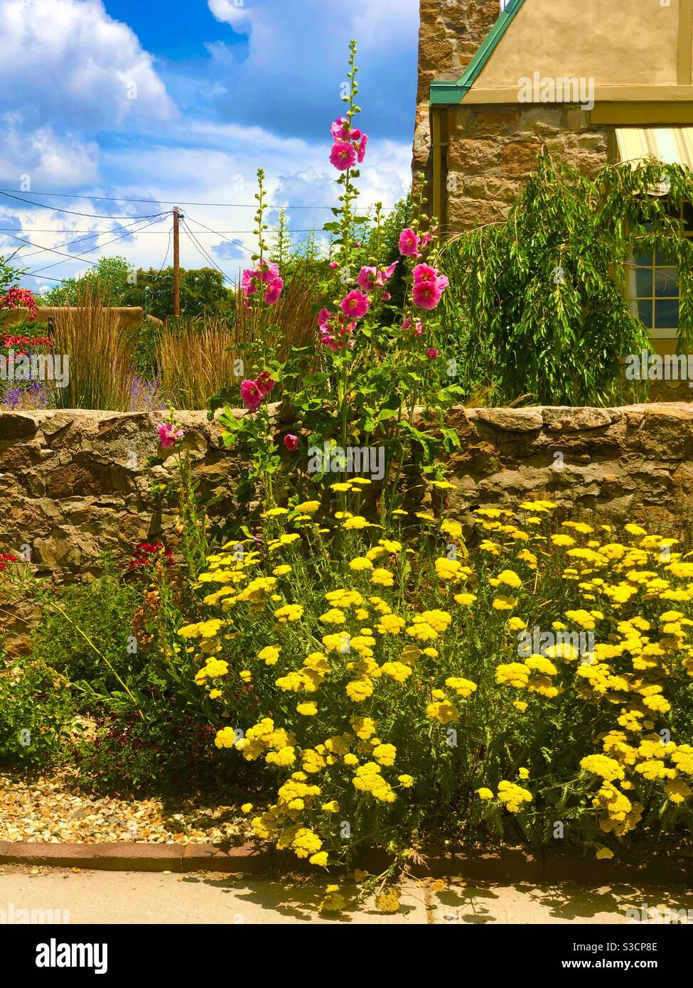 Colorful drought tolerant flowers and plants along a stone wall in front of an Adobe Building in Santa Fe New Mexico, USA under blue skies and fluffy white clouds - Smartphone Captured Stock Image