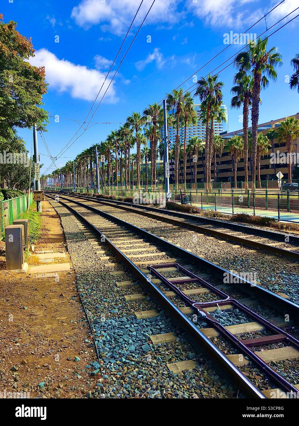 Railroad tracks surrounded by palm trees going through downtown San Diego with modern buildings in the background - Smartphone Captured Stock Image