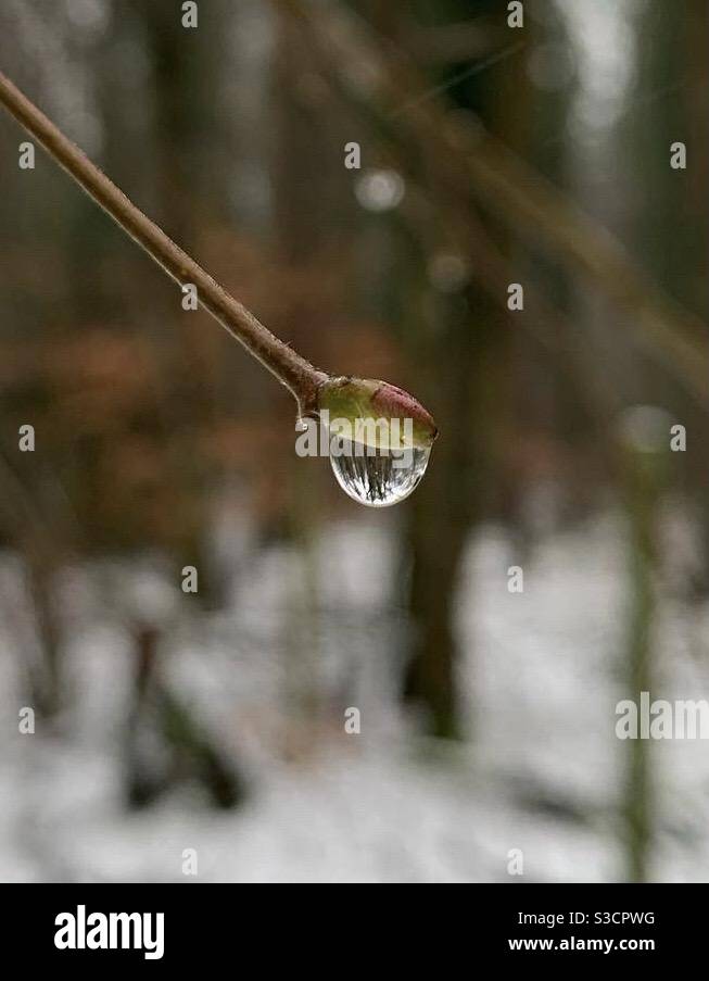 Norwich Snowing Snow High Resolution Stock Photography And Images Alamy