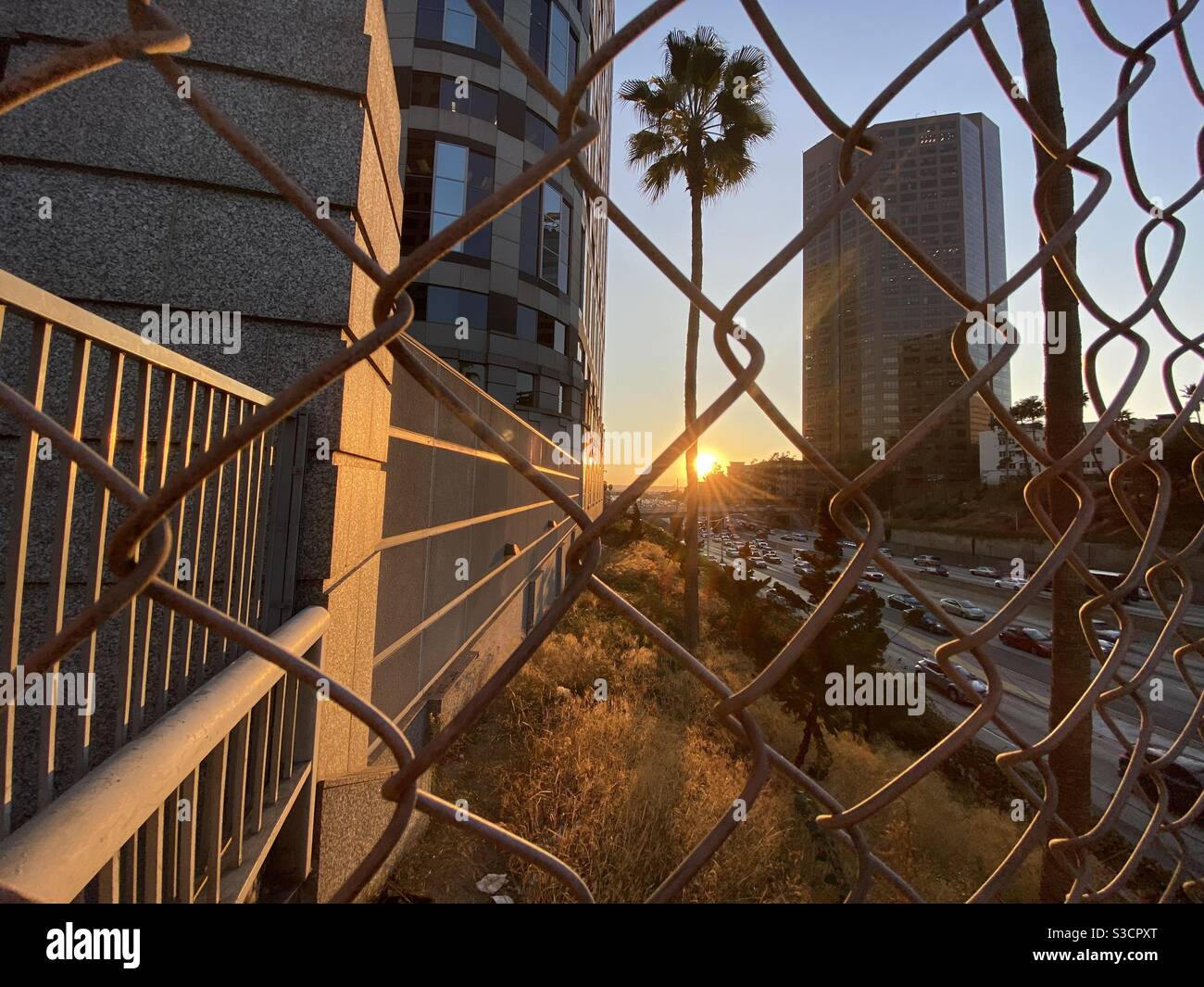 LOS ANGELES, CA, NOV 2020: looking through chainlink fencing at freeway traffic, next to the Wedbush Building as the sun sets over Downtown Stock Photo