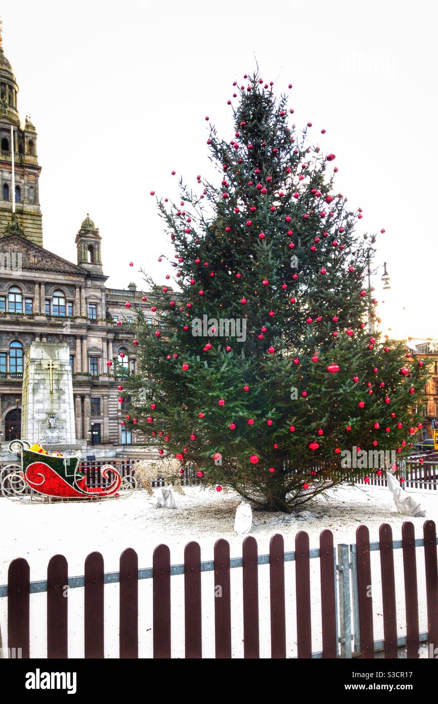 Glasgow’s Christmas Tree in Square Stock Photo Alamy