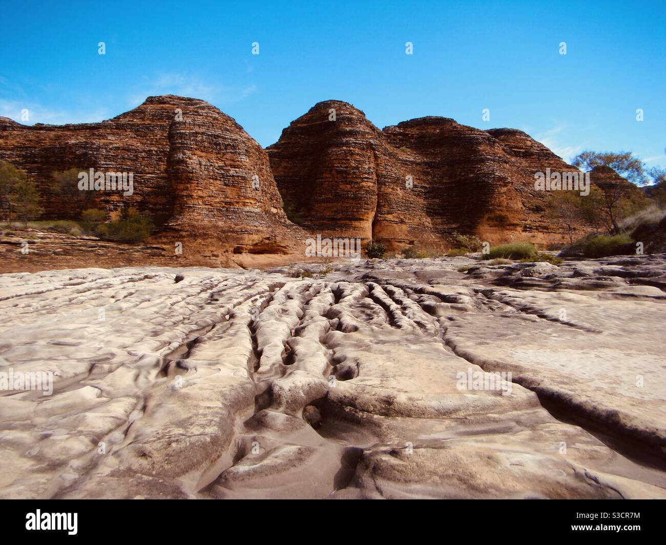 Bungle bungle beehive domes looking along a dry river bed Kimberley Western Australia Stock Photo